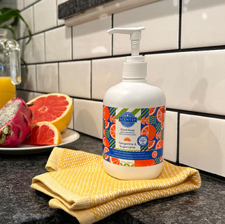 The Sunshine State of Mind Collection: Tangerine & Sugarcane Hand Soap