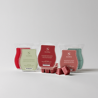 Alpine Holiday Scentsy Bar 5 pack