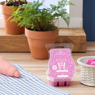 MARCH 2024'S SCENTSY WARMER OF THE MONTH - HAPPY HARE & COTTON CANDY TRAILS