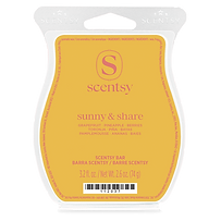 Sunny & Share Scentsy Bar