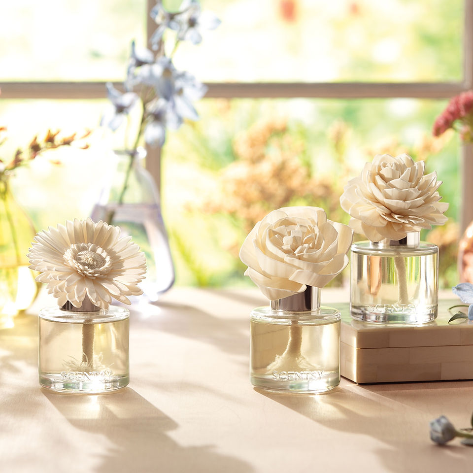 Dainty Daisy Fragrance Flower
