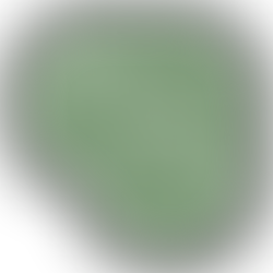 Iced Balsam Forests of fir balsam surround exquisite white freesia with glimmers of iced bergamot.