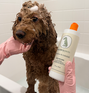 Celebrate International Pet Day on April 11 with new Bamboo & Rainfall Scentsy Pets Products