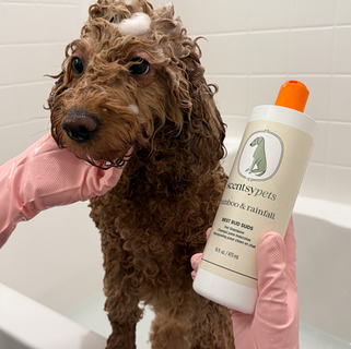 Celebrate International Pet Day on April 11 with new Bamboo & Rainfall Scentsy Pets Products