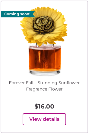 Forever Fall – Stunning Sunflower Fragrance Flower