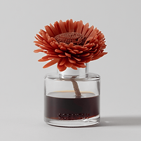 Wild Cherry Fire Stunning Sunflower Fragrance Flower