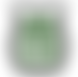 Iced Balsam Forests of fir balsam surround exquisite white freesia with glimmers of iced bergamot.