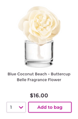 Blue Coconut Beach - Buttercup Belle Fragrance Flower
