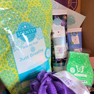 SCENTSY WHIFF BOX JANUARY 2024 | MONTHLY MYSTERY BOX UNBOXING