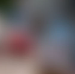 Disney's Fantasia Scentsy Collection, 85th Anniversary Warmer, Scent, & Buddy