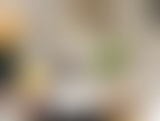 Let Your Light Glow: Scentsy's Tangled Collection Has Arrived