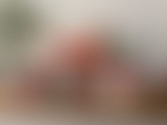 Scentsy’s 2025 Holiday Collection: From Stocking Stuffers to Show-Stoppers is coming soon