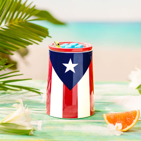 Celebrate Puerto Rico Scentsy Warmer