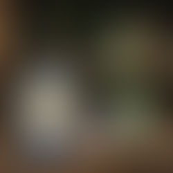 The Disney Peter Pan Collection is back with new products and returning fragrances!