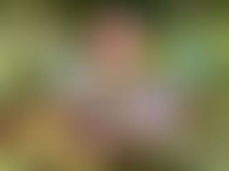 EPCOT® International Flower & Garden Festival: Happiness Blooms Collection