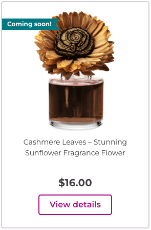 Cashmere Leaves – Stunning Sunflower Fragrance Flower
