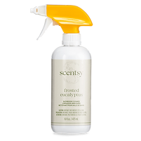 Frosted Eucalyptus Bathroom Cleaner