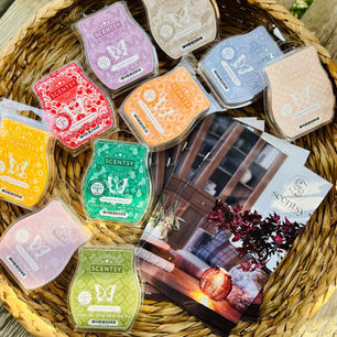 Scentsy Fall Winter 2025 Brochure & Sticker Request