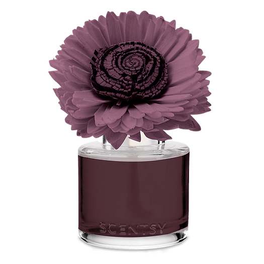 Berry Apple Shortbread Stunning Sunflower Fragrance Flower