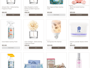 New & exclusive products for Scentsy Club subscribers. Start your subscription now!