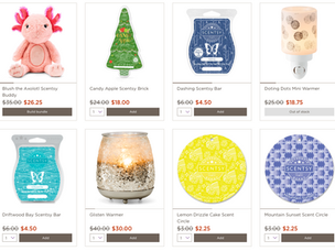 New & exclusive products for Scentsy Club subscribers. Start your subscription now!