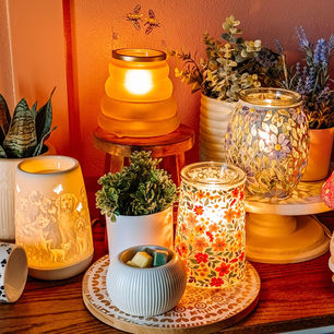 Scentsy Warmers