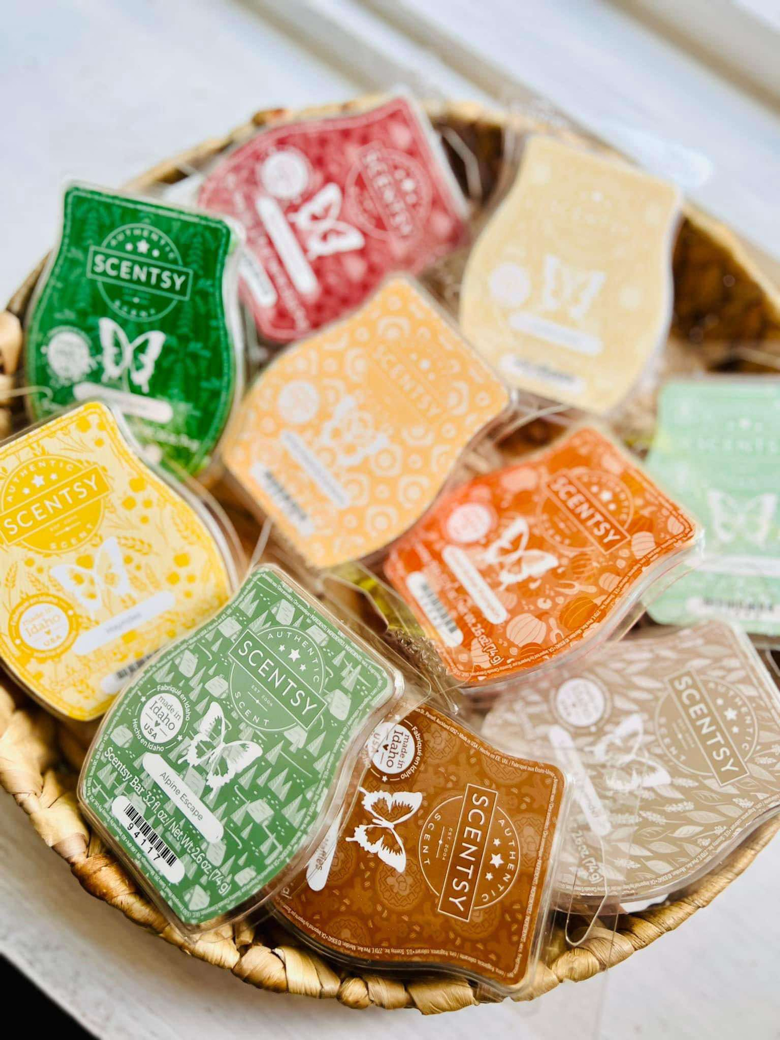 New Fall 2024 Scentsy Scents - Available September 1!