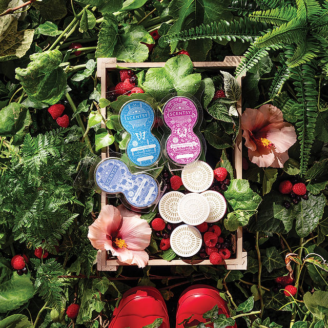 Scentsy Pods Spring SUmmer 2024