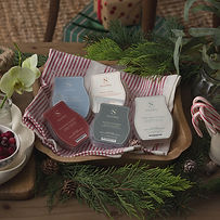 Holiday Scentsy Bar 5 pack