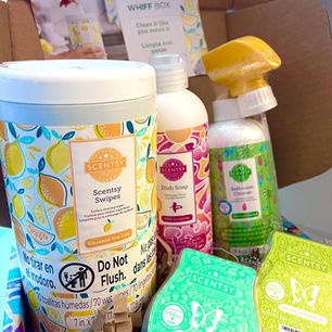 SCENTSY WHIFF BOX APRIL 2024 + THE SCENTSY WOOF BOX