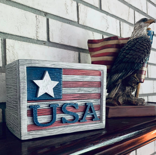 June 2024's Scentsy Warmer of the Month: Let Freedom Ring & Jammin' Jubilee