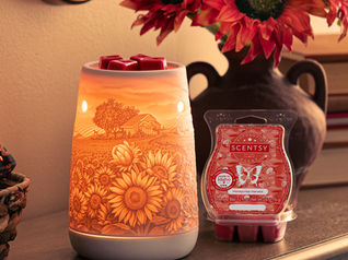 August 2024's Scentsy Warmer of the Month: Sunflower Fields & Honeycrisp Harvest
