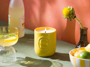 Why Scentsy Candles Just Make Sense (And Why We’re So Excited About It)