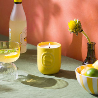 Why Scentsy Candles Just Make Sense (And Why We’re So Excited About It)