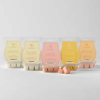 Italian Summer Scentsy Bar 5 Pack