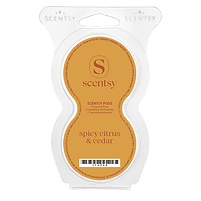 Spicy Citrus and Cedar Scentsy Pod Twin Pack