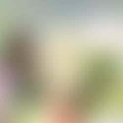 Scent Wardrobing Is the 2026 Home Trend You Didn't Know You Needed! Here's How to Do It with Scentsy