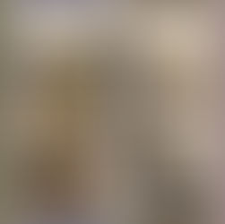 Here's the first look at Scentsy's 2025 Rebrand