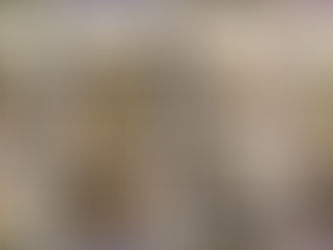 Here's the first look at Scentsy's 2025 Rebrand