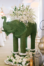A Plea to End Elephant Rentals at Weddings