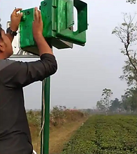 Wonder Device Saves 627 Elephants From Getting Killed on Tracks; Bengal Orders 40 More