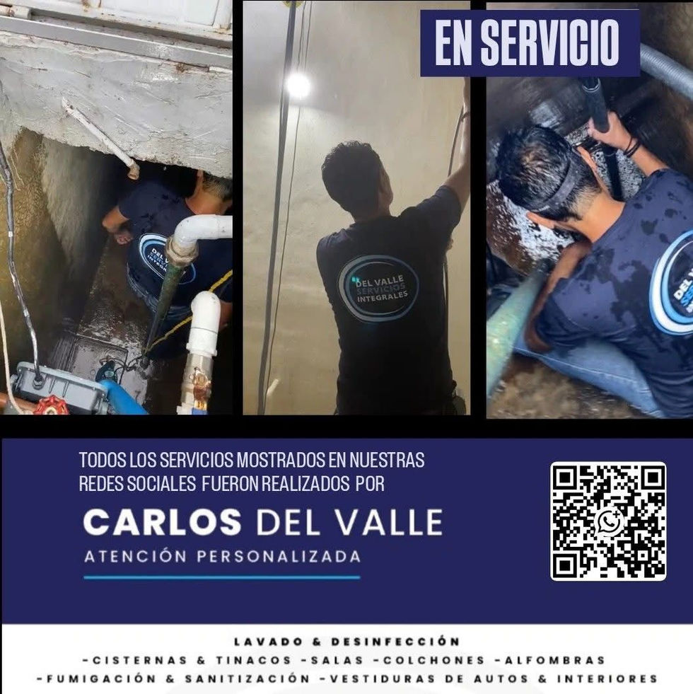 FYI limpieza y desinfección de cisternas y tinacos; salas, colchones, alfombras y tapetes; interiores de auto; fumigación.