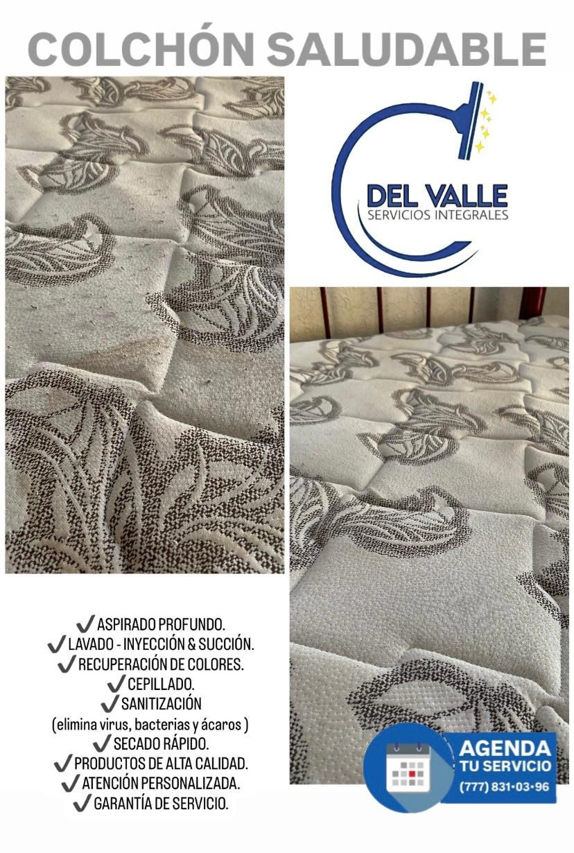 FYI limpieza y desinfección de cisternas y tinacos; salas, colchones, alfombras y tapetes; interiores de auto; fumigación.