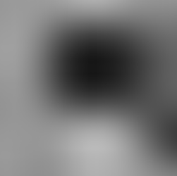 Você já assistiu a uma necrópsia?