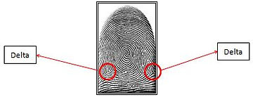 Delta
