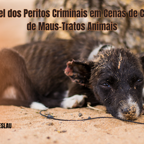 O Papel dos Peritos Criminais em Cenas de Crimes de Maus-Tratos Animais