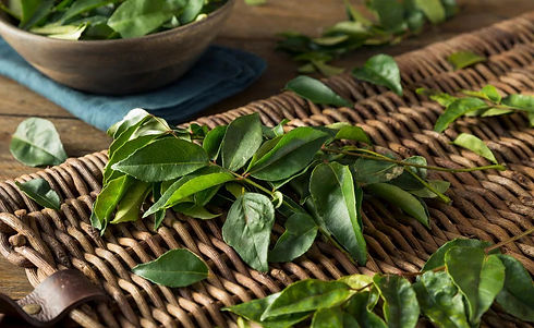 curry-leaves-HS-2.jpg