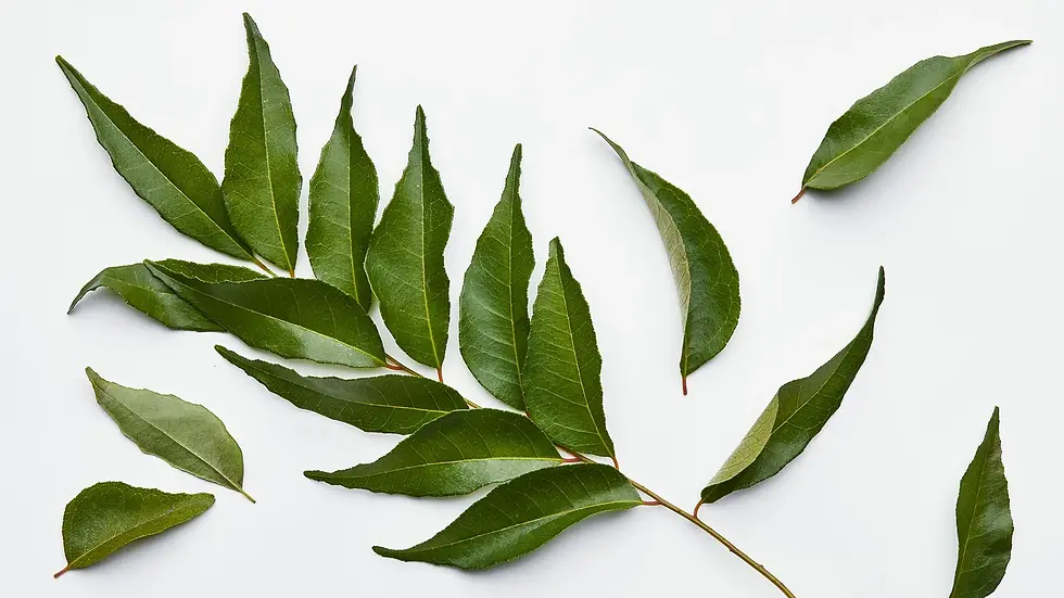 Curry Leaves.webp