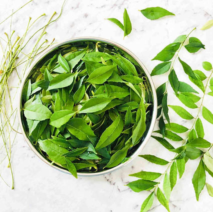 Curry-Leaves-23