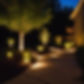 landscape lighting.jpg